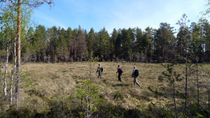 Tre raska män på mossen på väg till västra naturvårdsbrännan.  Rövallsmossen SO 18/5 2014. Foto: Lars Bsenko