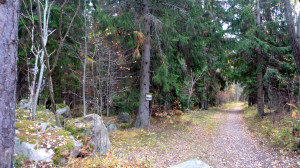 På stigen en bit in från väg 252 har Naturskyddsföreningen satt upp en informationsskylt. Slagghögarna 15/10 2013. Foto: Lars Bsenko