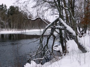 Kolbäcksån vid Sätten. 11/1 2015. Foto: Einar Marklund